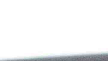 Photo by Alex Purifoy