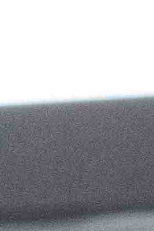 Photo by Alex Purifoy