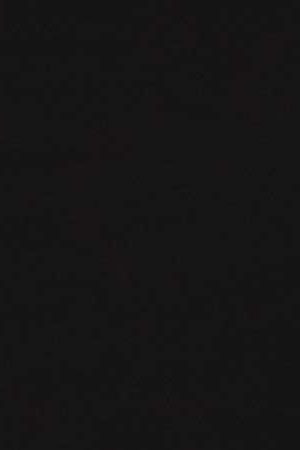 Fat Joe attends the "Night School" Special Screening With Fat Joe And Tidal at Concourse Plaza Multiplex Cinemas. Photo by Eugene Gologursky/Getty Images for Universal Pictures