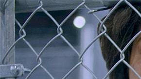 'Icebox' image courtesy of TIFF