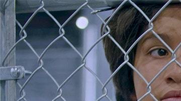 'Icebox' image courtesy of TIFF