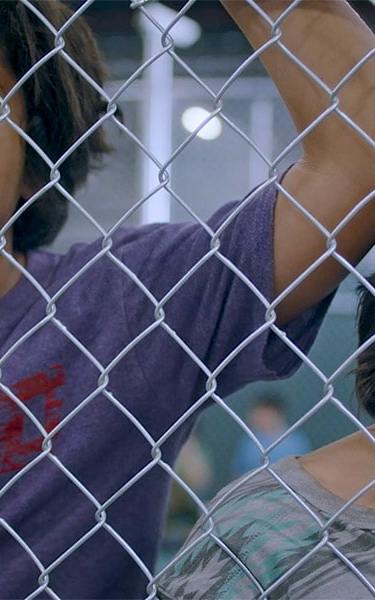 'Icebox' image courtesy of TIFF