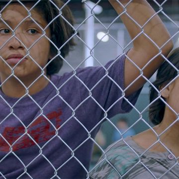 'Icebox' image courtesy of TIFF
