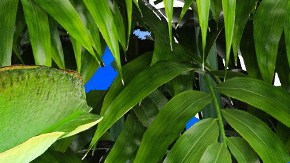 Photo by Alan Lopez for Remezcla