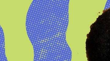 Photo by Alan Lopez for Remezcla