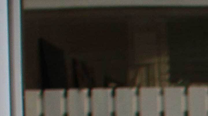 Photo Courtesy of Radiored