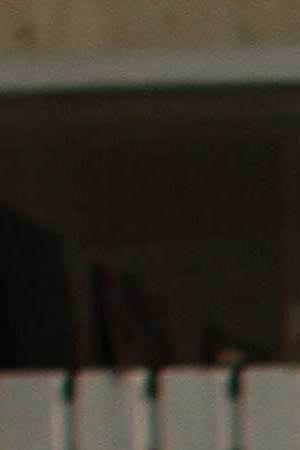 Photo Courtesy of Radiored