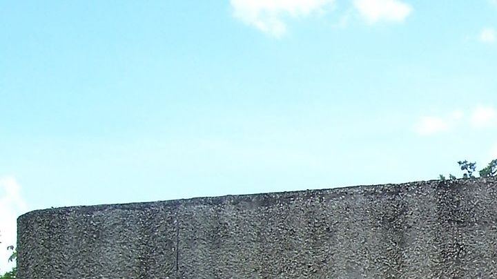 Creative Commons "Parque Museo la Venta" by Sachavir is licensed under CC BY 2.0