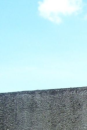 Creative Commons "Parque Museo la Venta" by Sachavir is licensed under CC BY 2.0