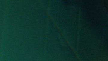 'El Angel' still courtesy of The Orchard