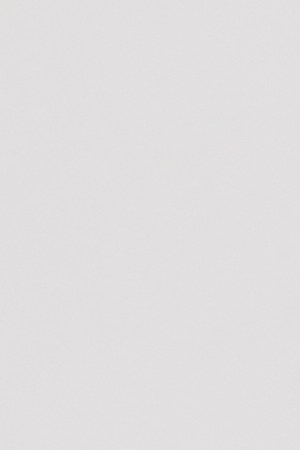 Photo by Dylan Bartolini-Volk