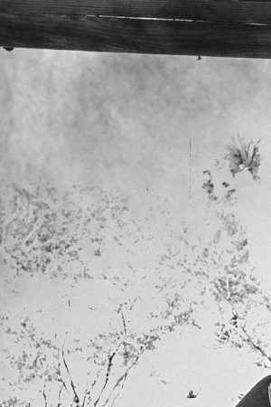 Photo by Steven Lyon. Courtesy of Draco Rosa