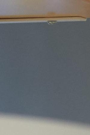 Portrait of Livia Eberlin at her office and laboratory at the University of Texas at Austin in Austin, TX. Photo by John D. and Catherine T. MacArthur Foundation