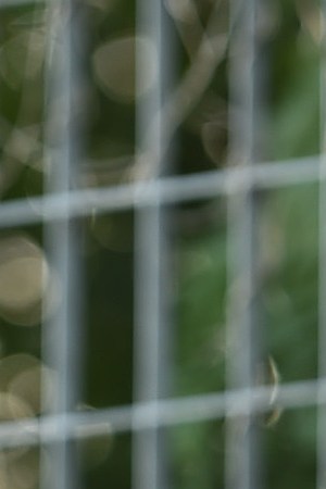 Justin Bieber attends the John Elliott front row during New York Fashion Week: The Shows in New York City. Photo by Theo Wargo/Getty Images for NYFW: The Shows