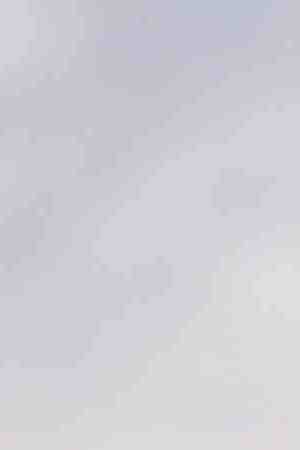 A member of the immigrant caravan climbs atop a gate with a Honduran flag during a clash with Mexican riot police on the border between Mexico and Guatemala on October 19, 2018 in Ciudad Tecun Uman, Guatemala. Photo by John Moore/Getty Images