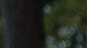 Democratic Senate candidate Beto O'Rourke greets supporters near a polling place on the first day of early voting. (Photo by Loren Elliott/Getty Images)