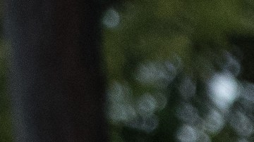 Democratic Senate candidate Beto O'Rourke greets supporters near a polling place on the first day of early voting. (Photo by Loren Elliott/Getty Images)