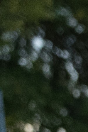 Democratic Senate candidate Beto O'Rourke greets supporters near a polling place on the first day of early voting. (Photo by Loren Elliott/Getty Images)