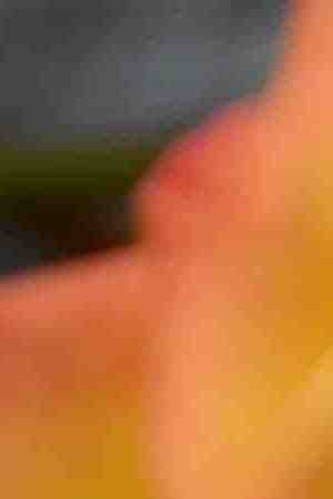 Photo by sbossert / iStock / Getty Images Plus