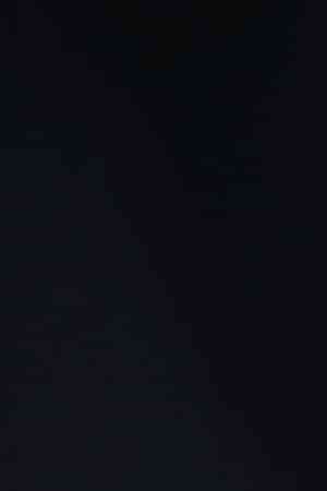 Perez Hilton attends the "School Of Rock" Broadway opening night at Winter Garden Theatre on December 6, 2015 in New York City.  (Photo by Brad Barket/Getty Images)