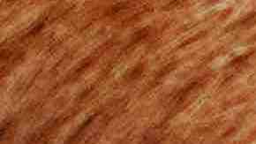 Photo by Busybee-CR / Moment