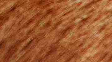 Photo by Busybee-CR / Moment