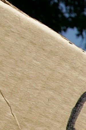 Anti-immigration demonstrators hold signs and American flags during an anti-immigration rally.  Photo by Justin Sullivan/Getty Images