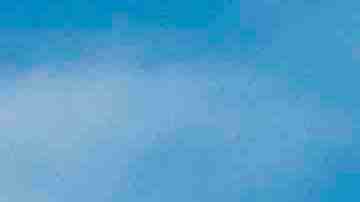 Photo by stellalevi / iStock / Getty Images Plus