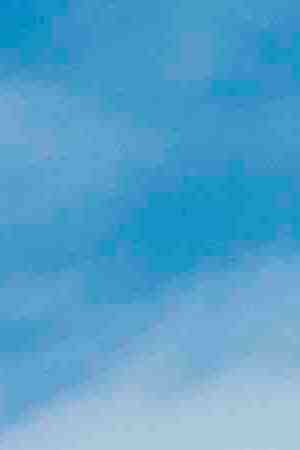 Photo by stellalevi / iStock / Getty Images Plus