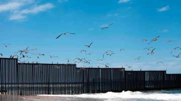 Photo by stellalevi / iStock / Getty Images Plus