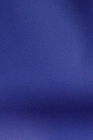 Lou Dobbs of Fox Business Network speaks during the Conservative Political Action Conference at the Gaylord National Resort and Convention Center February 24, 2017. Photo by Alex Wong/Getty Images