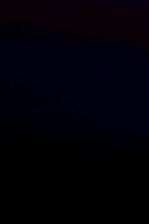 Virginia Thomas, wife of Supreme Court Associate Justice Clarence Thomas, moderates a panel discussion. Photo by Chip Somodevilla/Getty Images