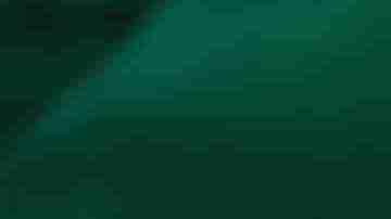 Photo by ilbusca / 	iStock / Getty Images Plus