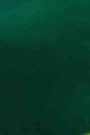 Photo by ilbusca / 	iStock / Getty Images Plus