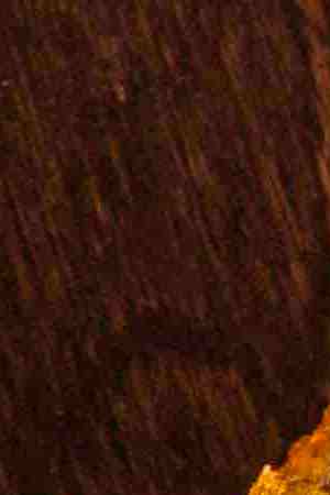 Photo by Proformabooks / iStock / Getty Images Plus