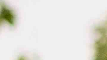 'Harvest Season' image courtesy of DOC NYC