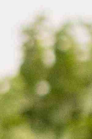 'Harvest Season' image courtesy of DOC NYC