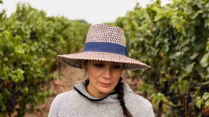 'Harvest Season' image courtesy of DOC NYC