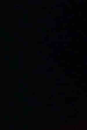 Photo by Saul Endara / Courtesy of the Artist