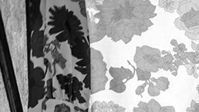 'Roma' still courtesy of New York Film Festival