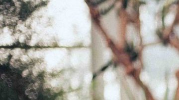 Photo by Amber Rana. Courtesy of Salt Cathedral