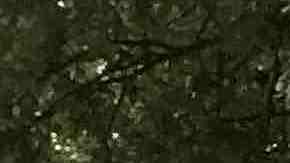 Isabel González Whitaker poses in front of Sara J. Gonzalez Park, which was named after her mother. Photo courtesy of Isabel González Whitaker