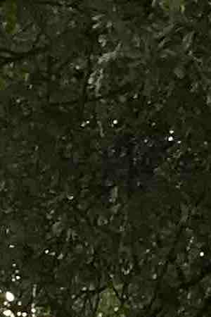 Isabel González Whitaker poses in front of Sara J. Gonzalez Park, which was named after her mother. Photo courtesy of Isabel González Whitaker