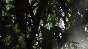 Artwork by Havi / Courtesy of TRNSX