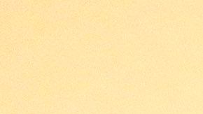 U.S. Rep Beto O'Rourke (D-TX) of El Paso speaks during a town hall meeting at the Quail Point Lodge. Photo by Chris Covatta/Getty Images