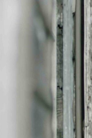 Courtesy of Bryant Myers