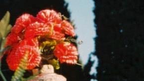 Photo by Javier Ruiz. Courtesy of the Artist.