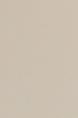 The 'A Fantastic Woman' (Una mujer fantastica) press conference during the 67th Berlinale International Film Festival Berlin at Grand Hyatt Hotel. Photo Vittorio Zunino Celotto / Getty Images Europe