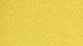 Photo by Dana Boulos. Courtesy of Orienteer