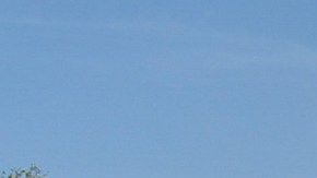 Actors characterized as skulls poses front a Trajinera on the occasion of celebrating the Mexican traditions of Day of the Dead celebrations known in Latin America as Dia de Muertos. Photo by Aidee Martinez / Eyepix Group/Barcroft Media via Getty Images